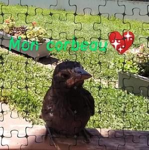 Meet your Posher, Louka